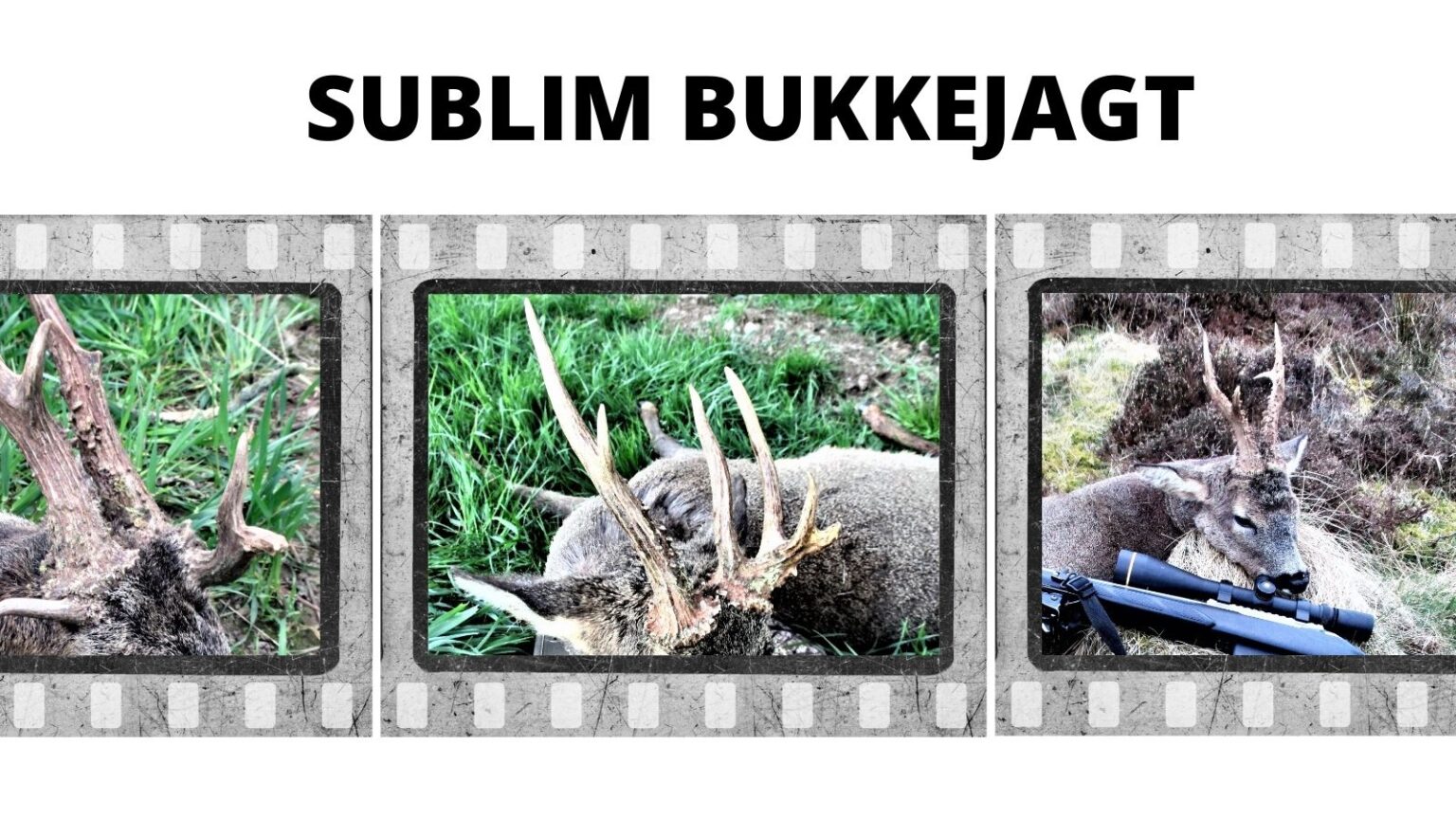 Graciøst gensyn med Skotland