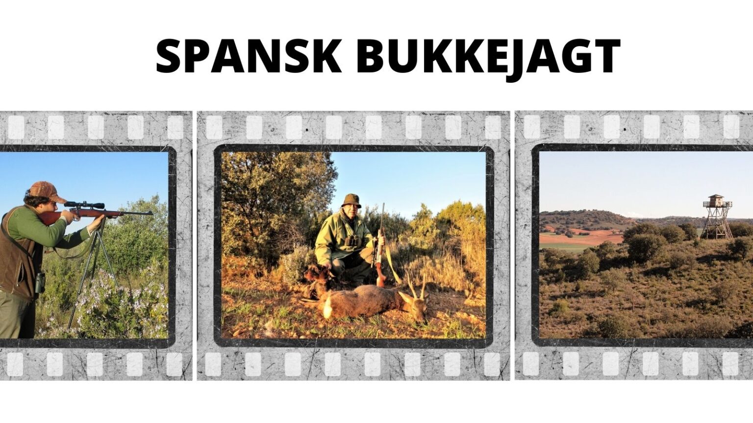 Bukkejagt på spansk