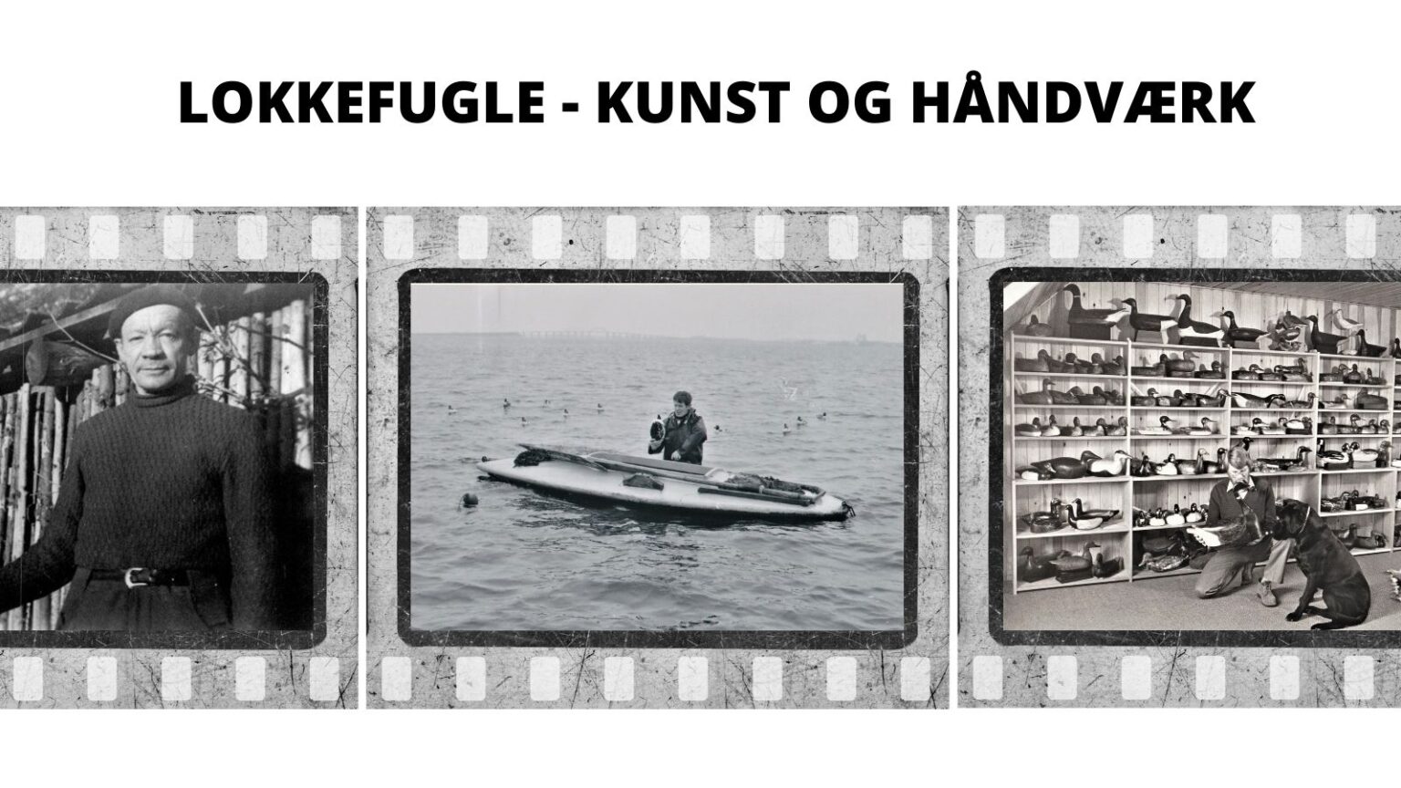 Den unikke lokkefuglemager