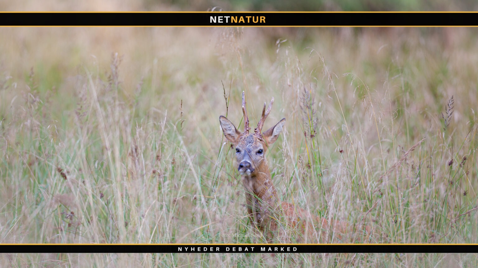Landmænd skal “dyrke” mere natur