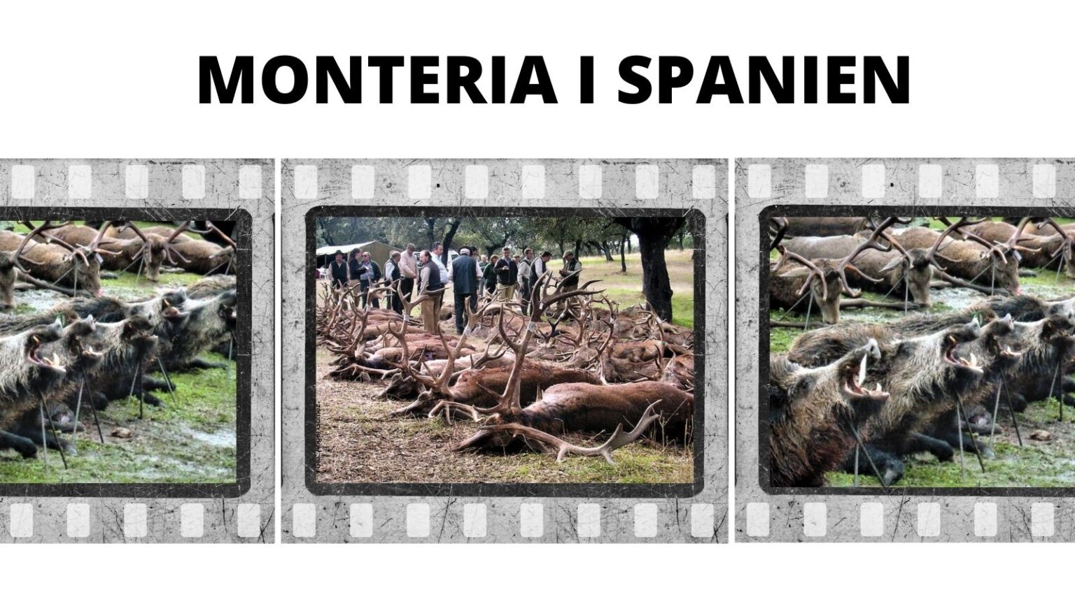 Monteria? Læs først dette!