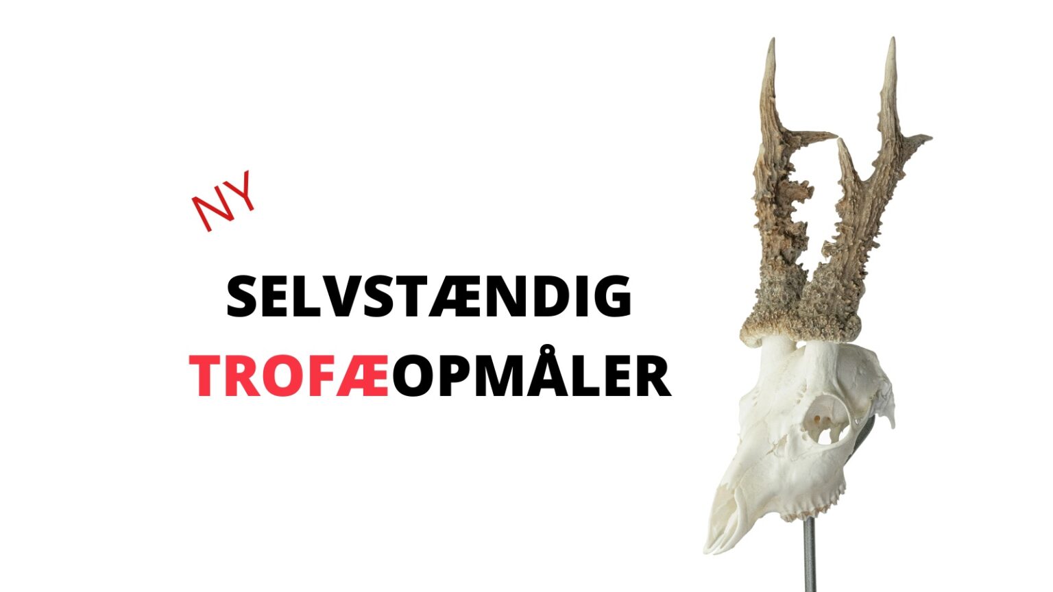 Bliver selvstændig trofæmåler