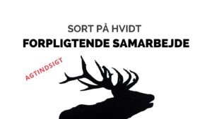 Forpligtende samarbejde