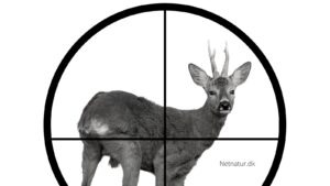 Bukkeleksikon: Kuglefang