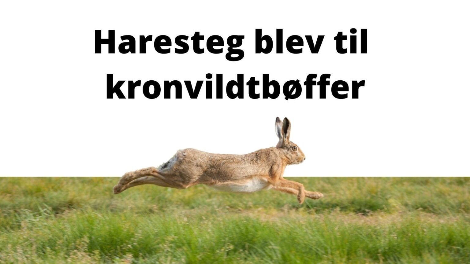 Harebestand stadig i frit fald Harebestand stadig i frit fald