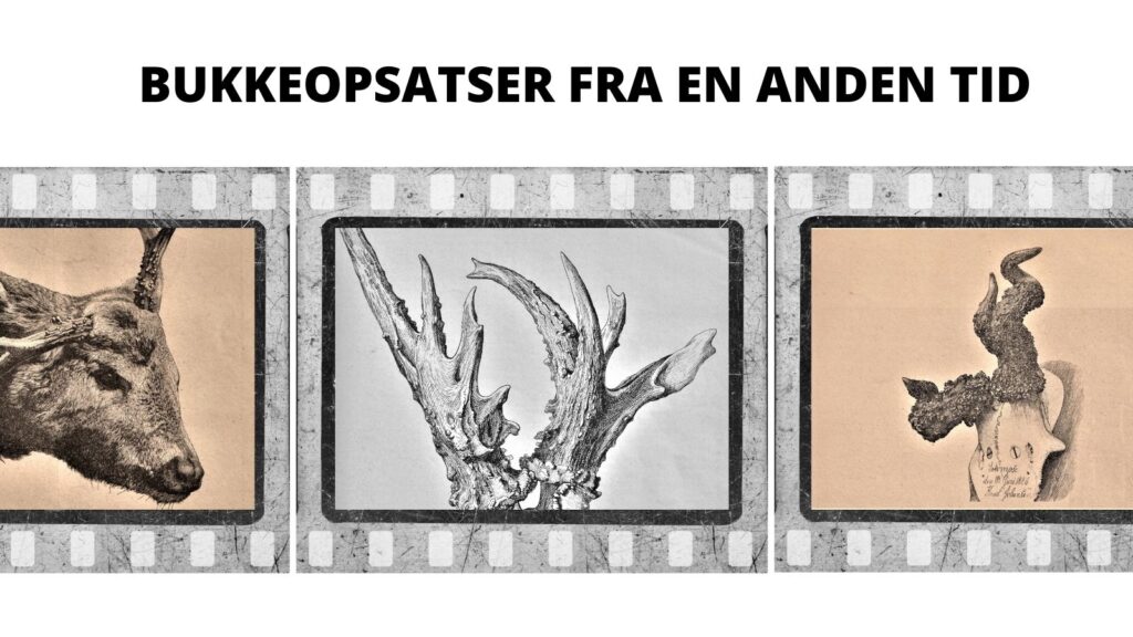 Oldtimer bukkeopsatser Oldtimer bukkeopsatser