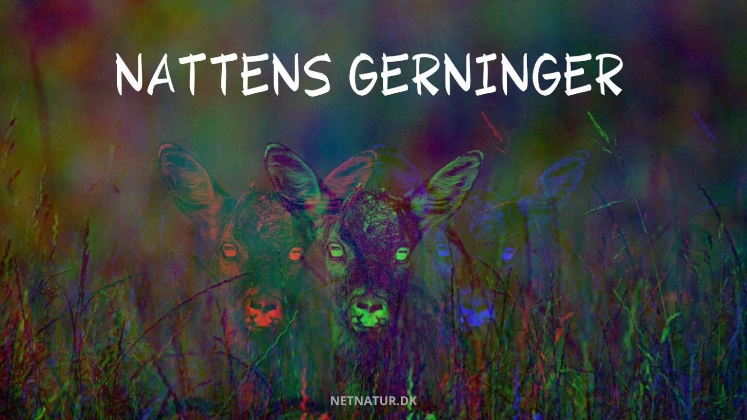Mystik omkring redaktionen