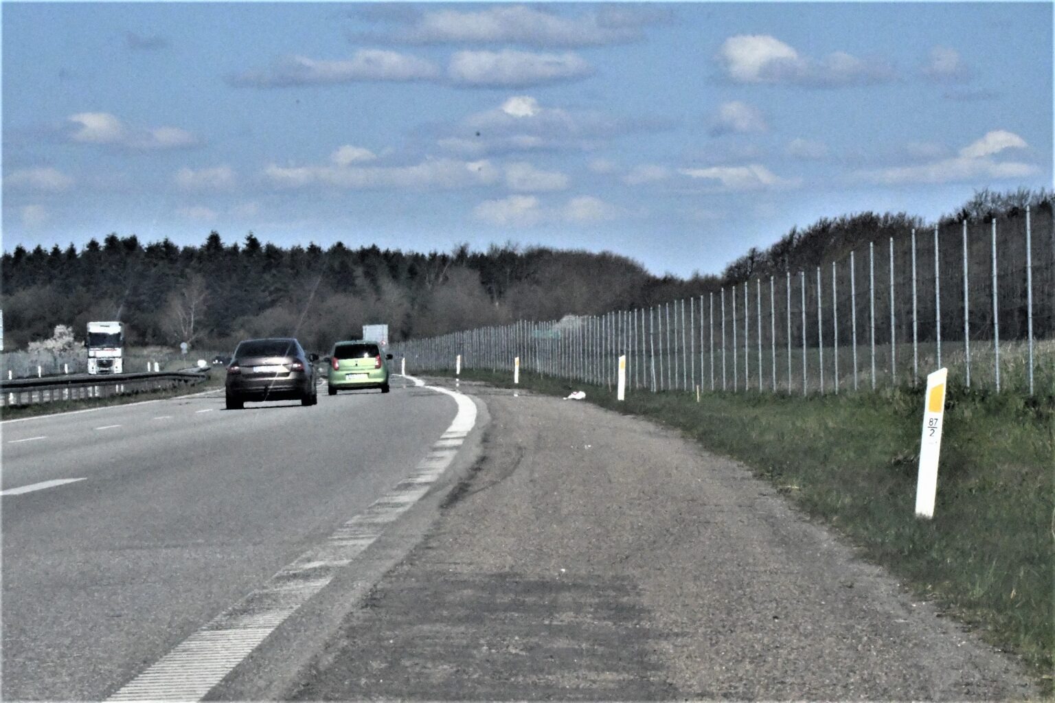 Indspring redder hjortevildt fra trafikdrab