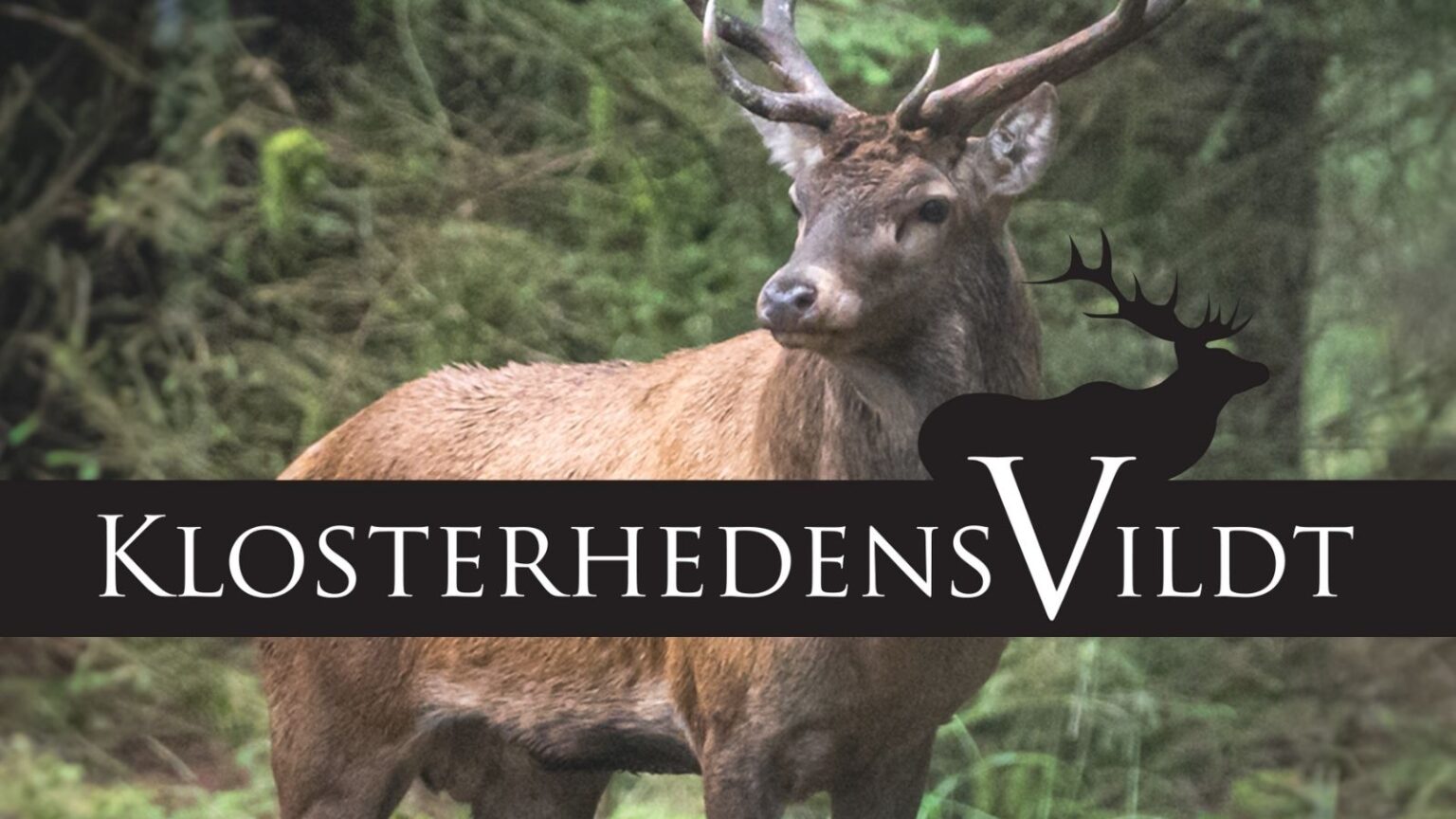 Klosterhedens Vildt søsætter helt nye tiltag