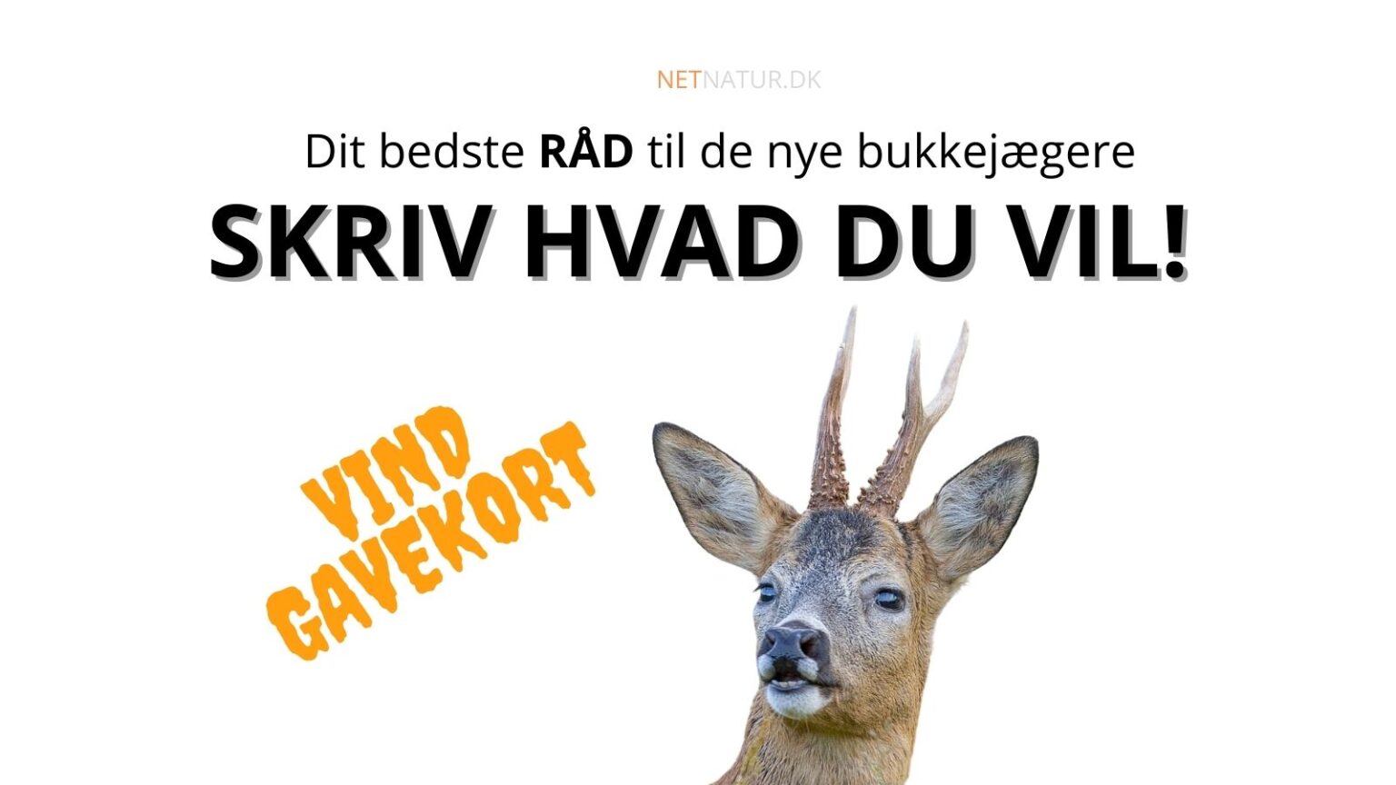 Hvad vil du sige?