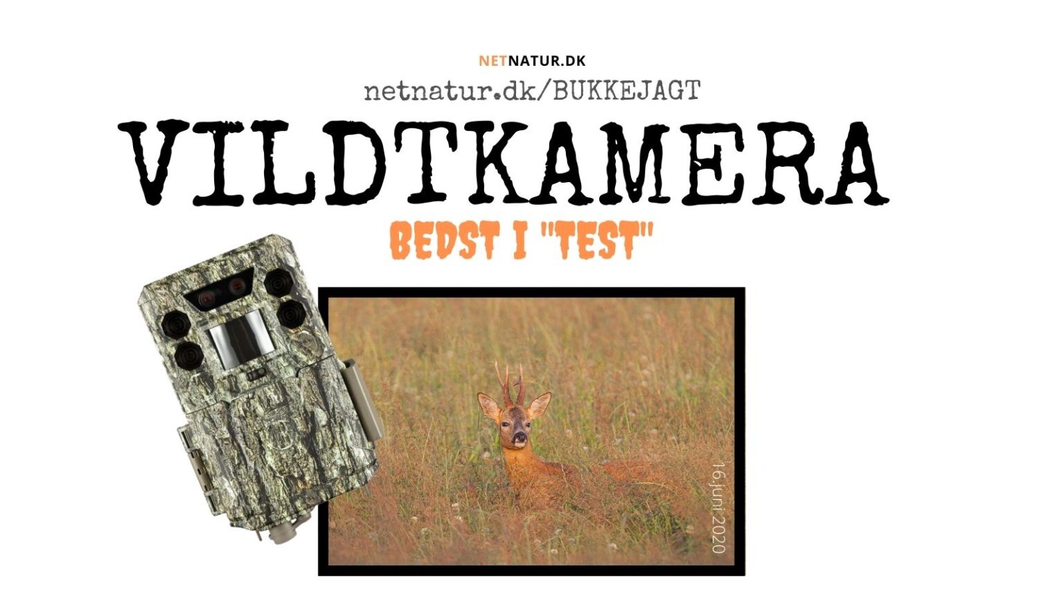 Vildtkamera – det bedste
