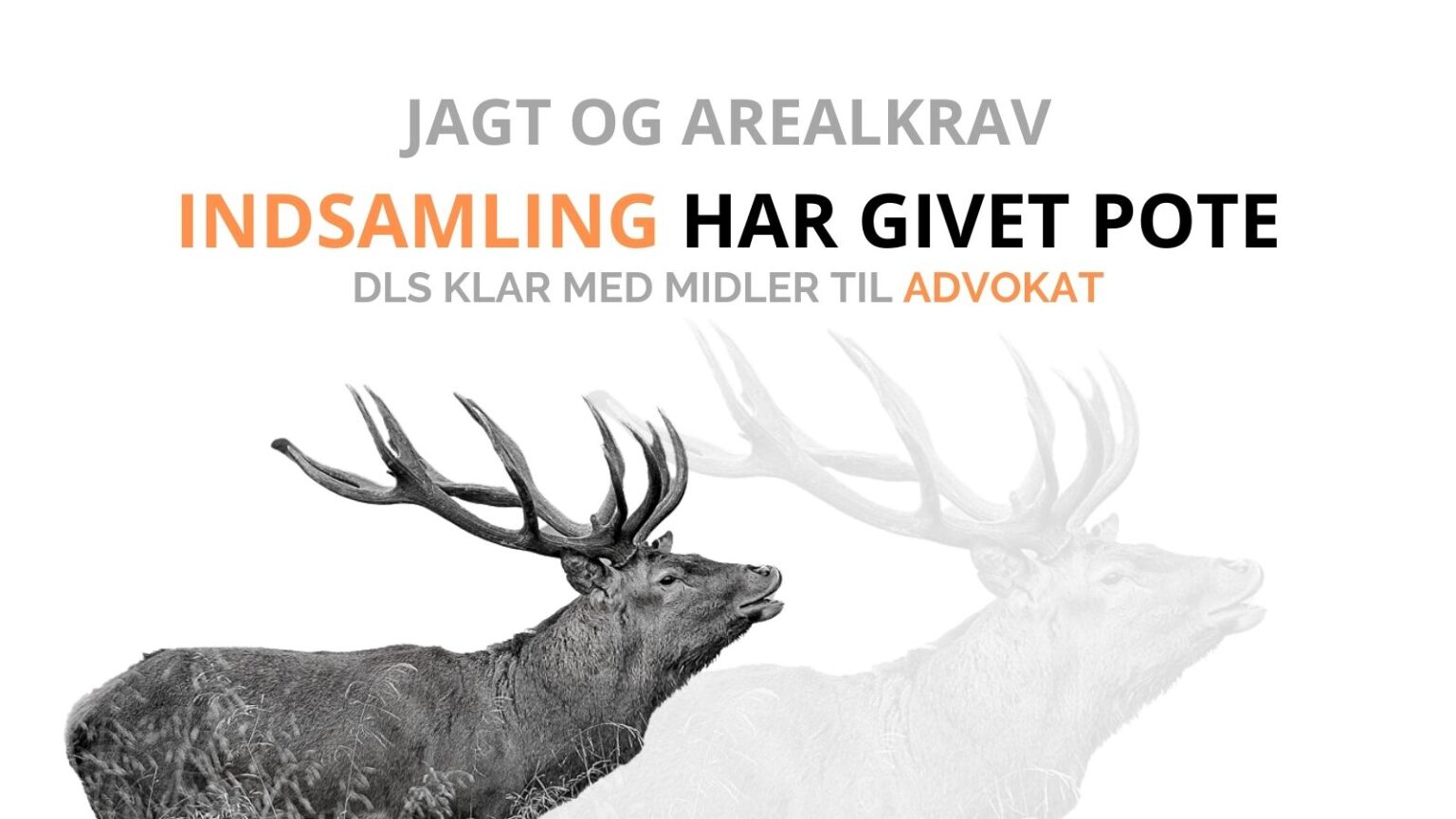 DLS: Beløb indsamlet på kun 10 dage