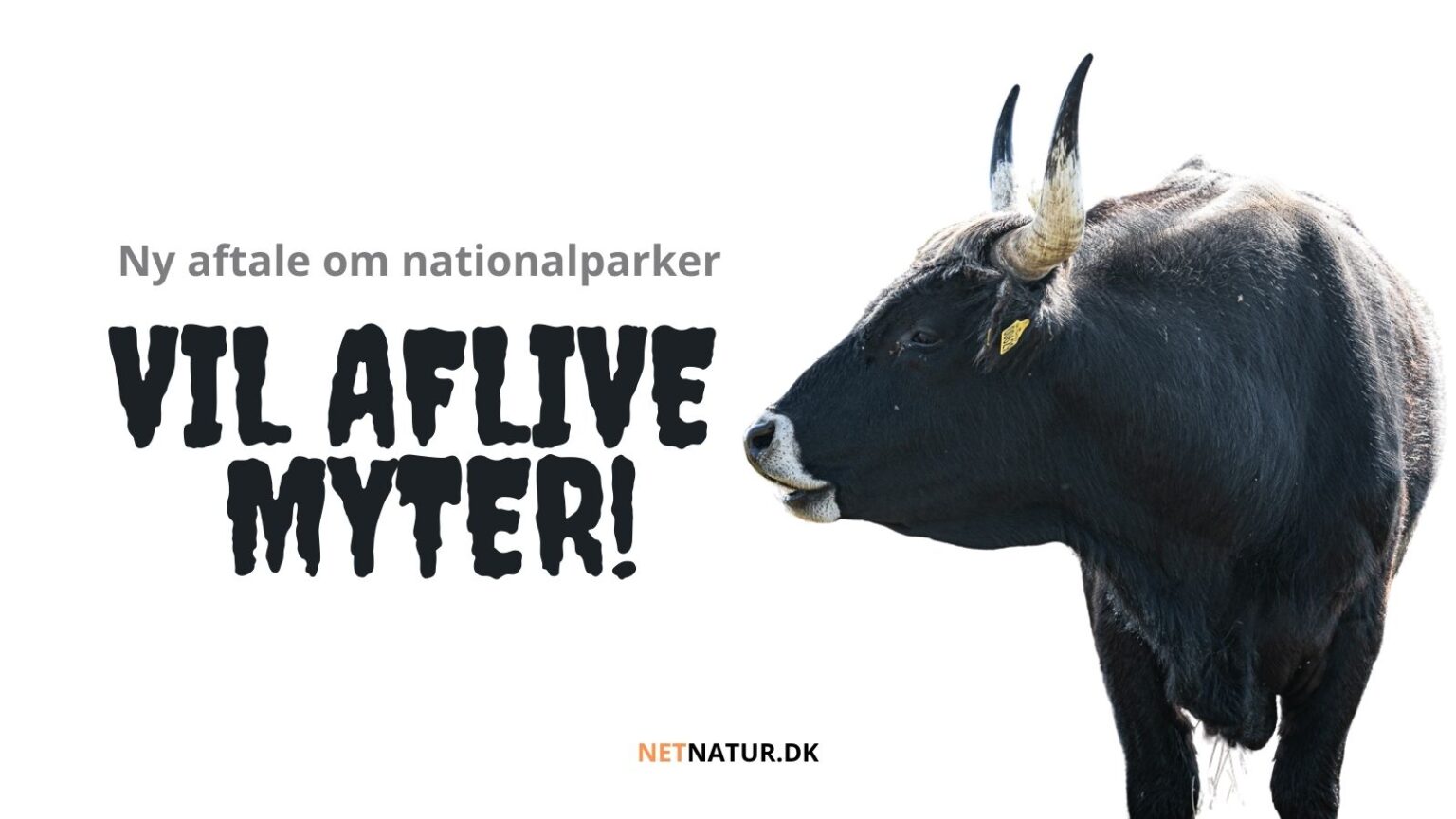 Ny aftale vil aflive myter om danske naturnationalparker