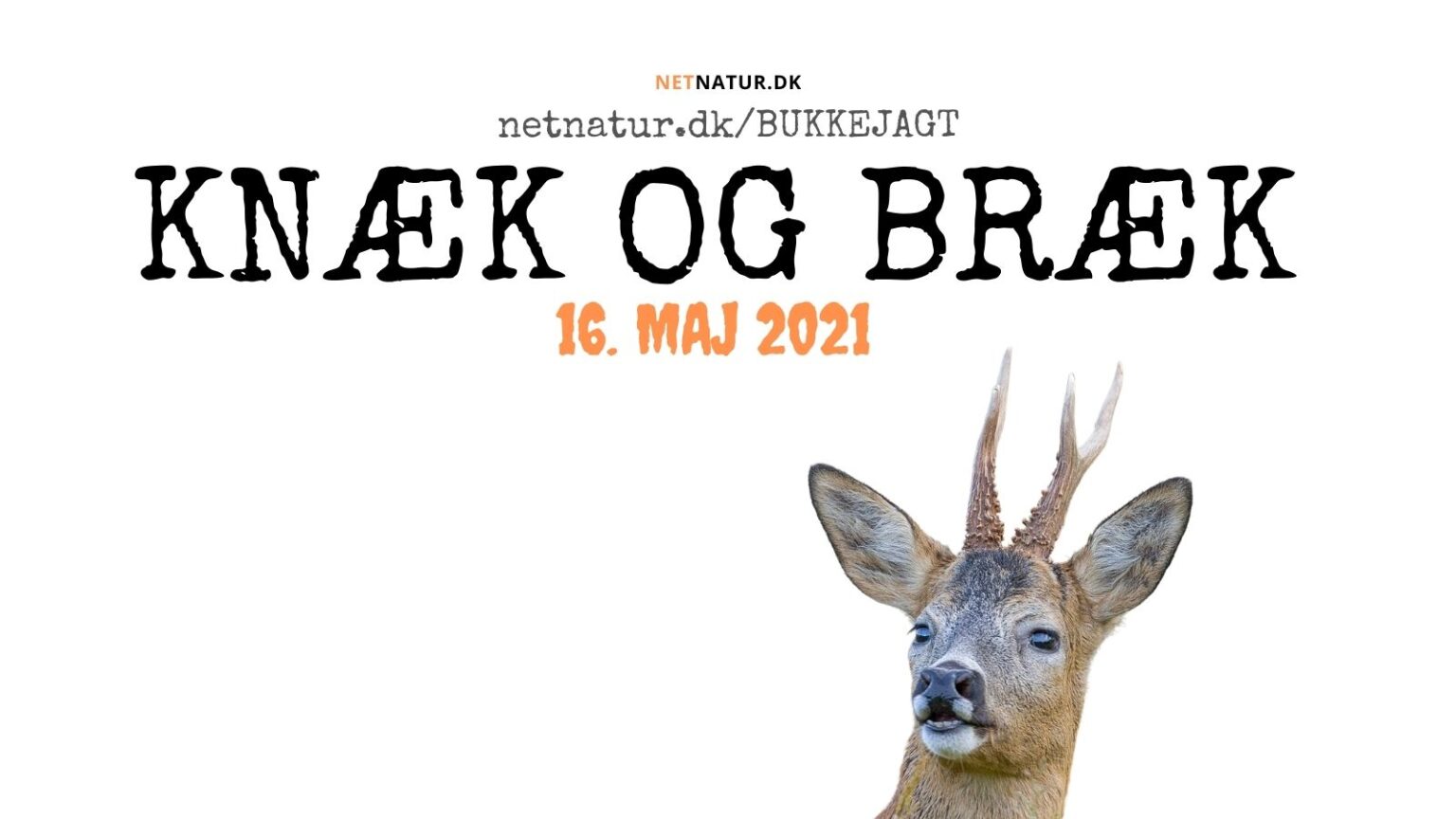 Knæk og bræk med bukkejagten