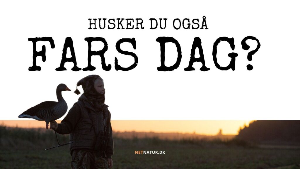 Fars Dag Farsdagsgave