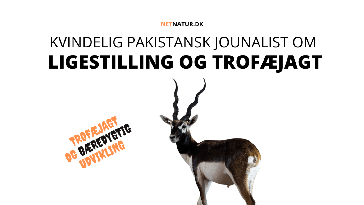 Pakistansk kvindefortaler: Trofæjagt kan sikre økonomisk fremgang