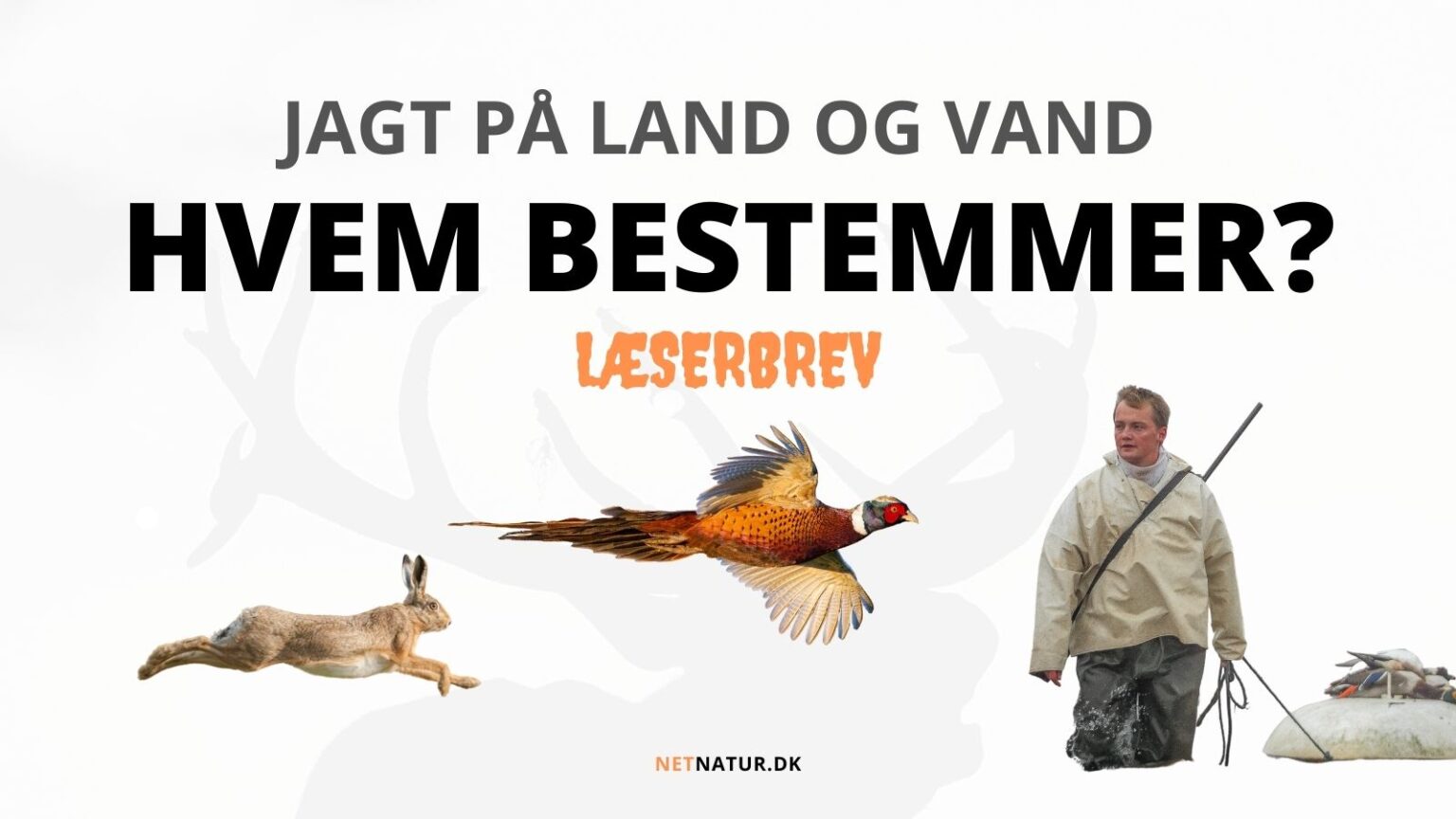 Læserbrev om jagt og grundlov