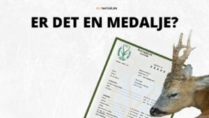 Opmåling bukkeopsats