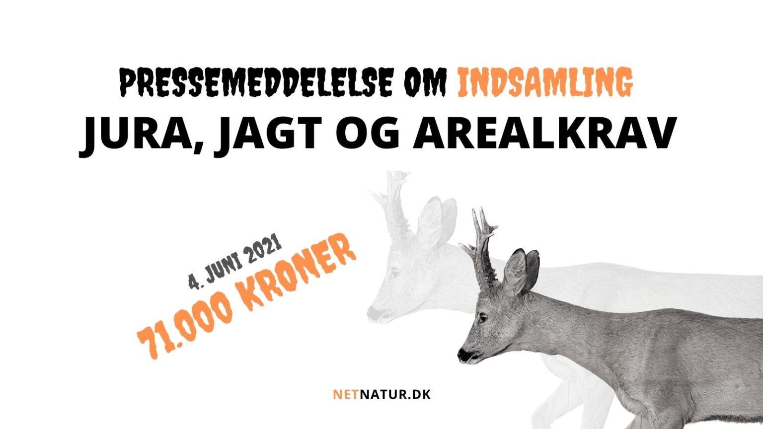 Dansk Land- og Strandjagt fortsætter indsamling DLS