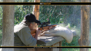 .270 Winchester