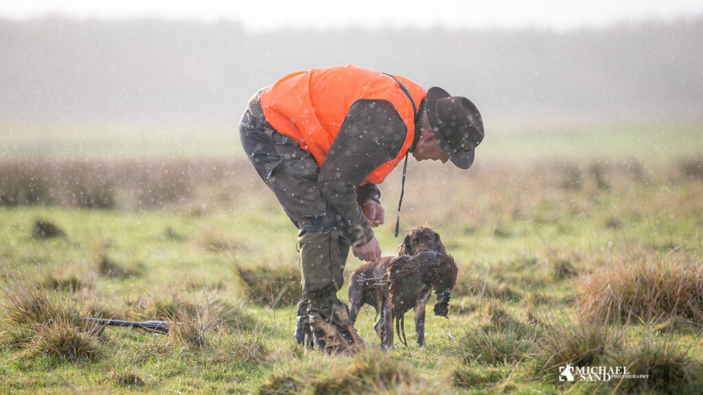 Når den dødskudte fugl alligevel er i live dødskudte fugle