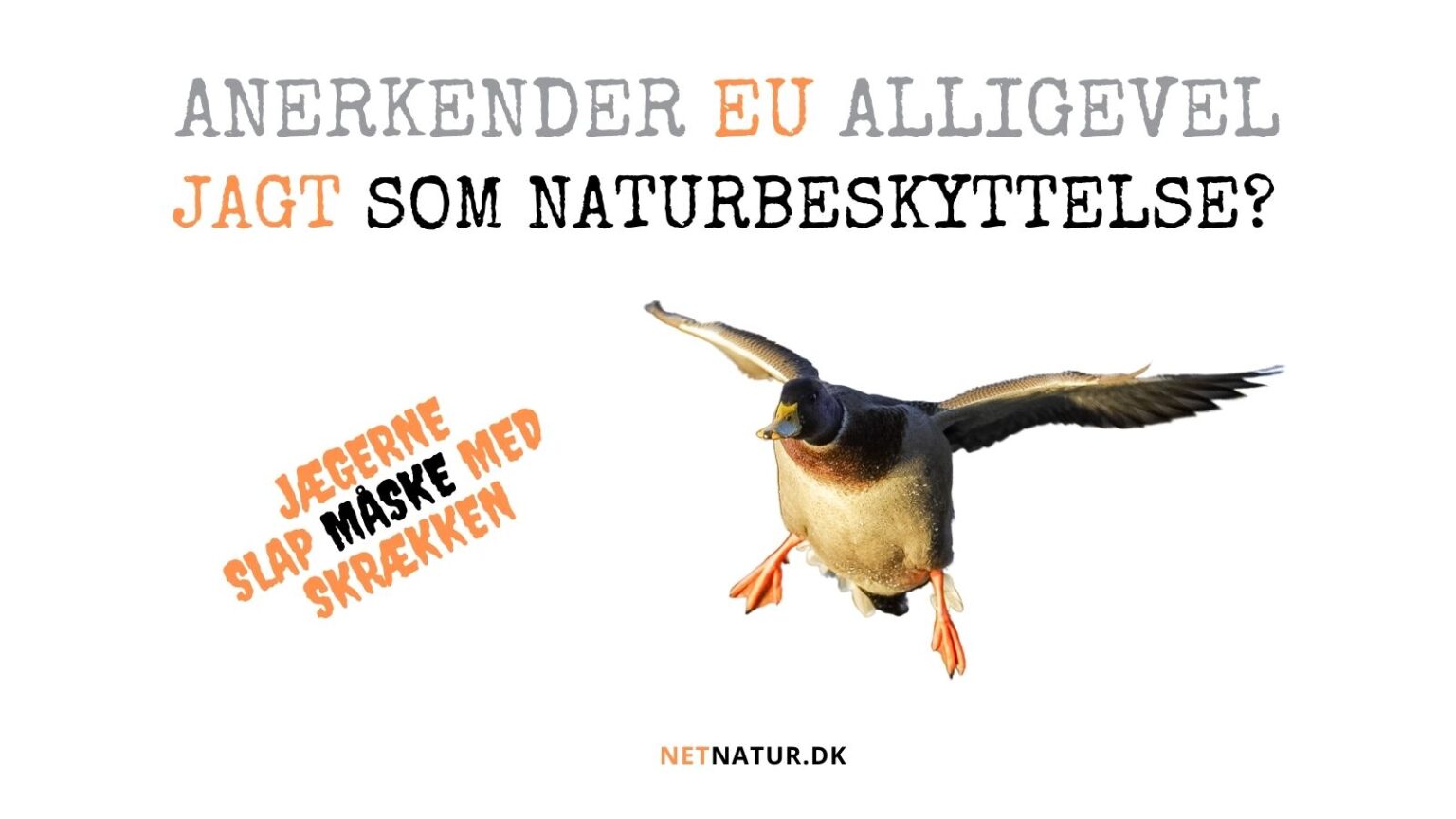 EU fjerner jagt fra den sorte liste