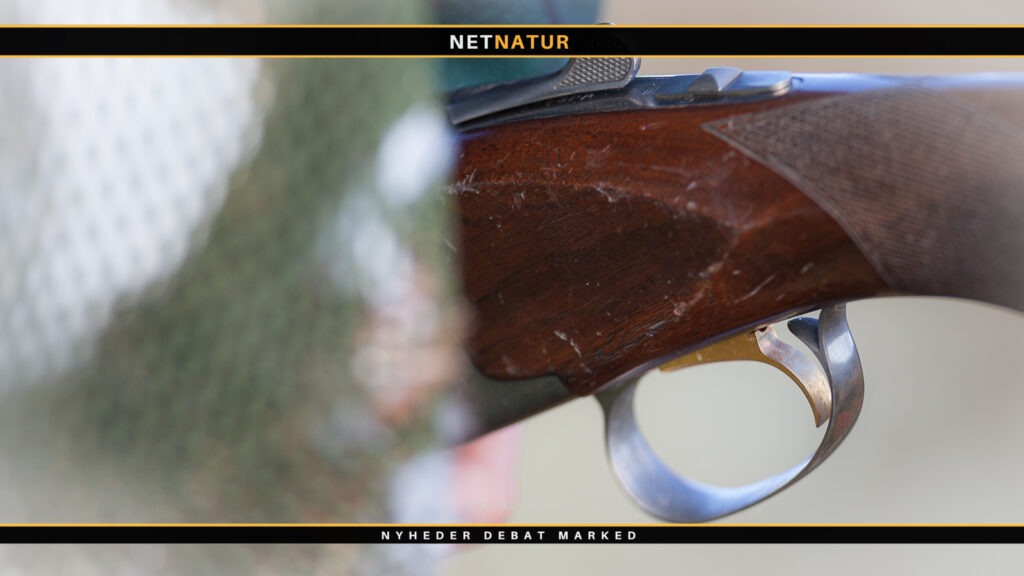 Våben og forsikring