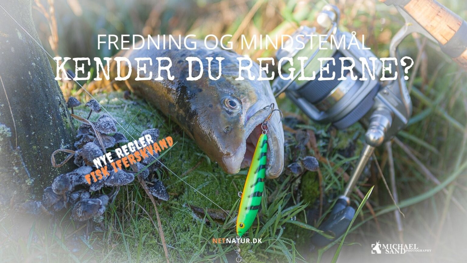Mindstemål