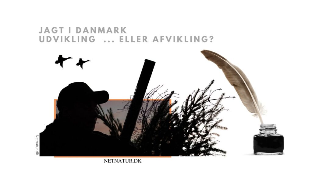 andejagt og egon sørensen