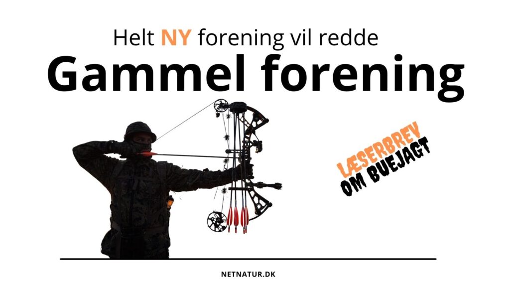 Dansk Buejæger forbund.