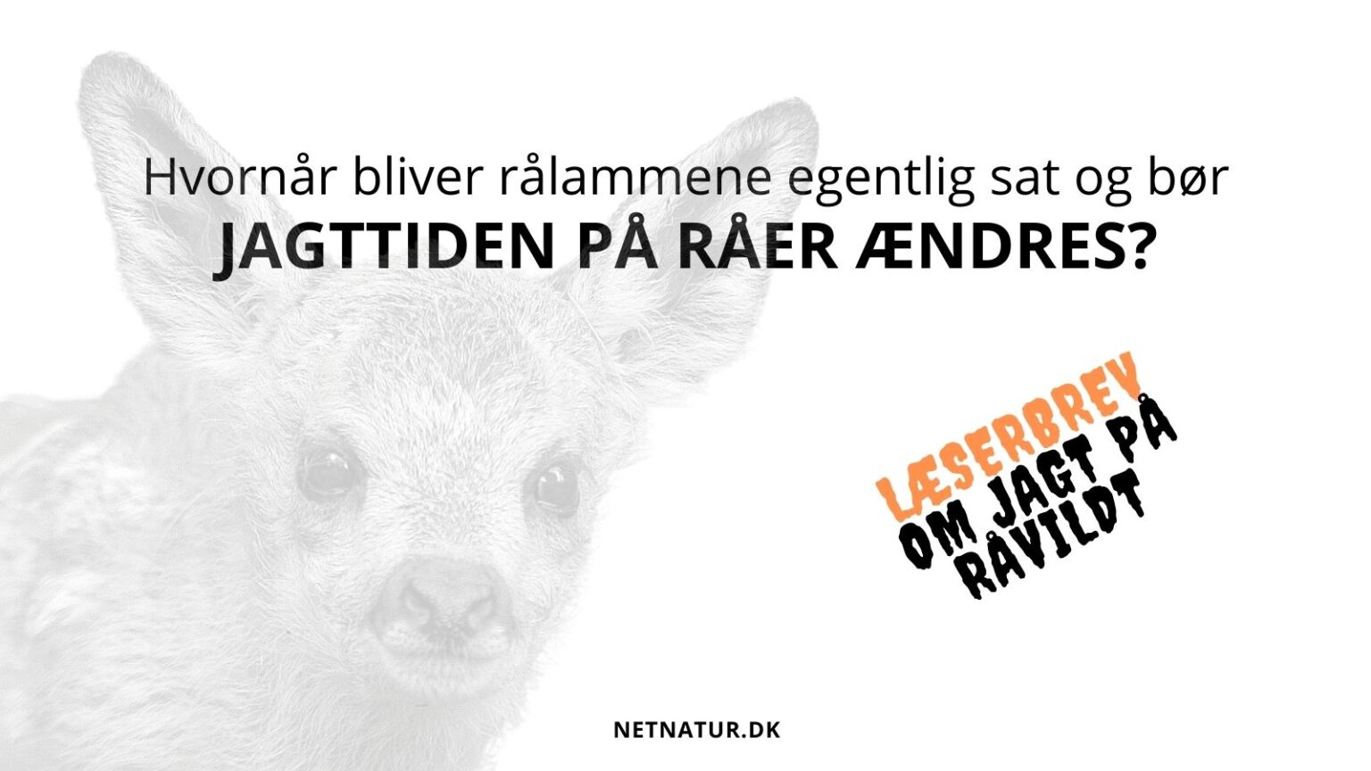 Læserbrev om råvildtjagt og nye jagttider