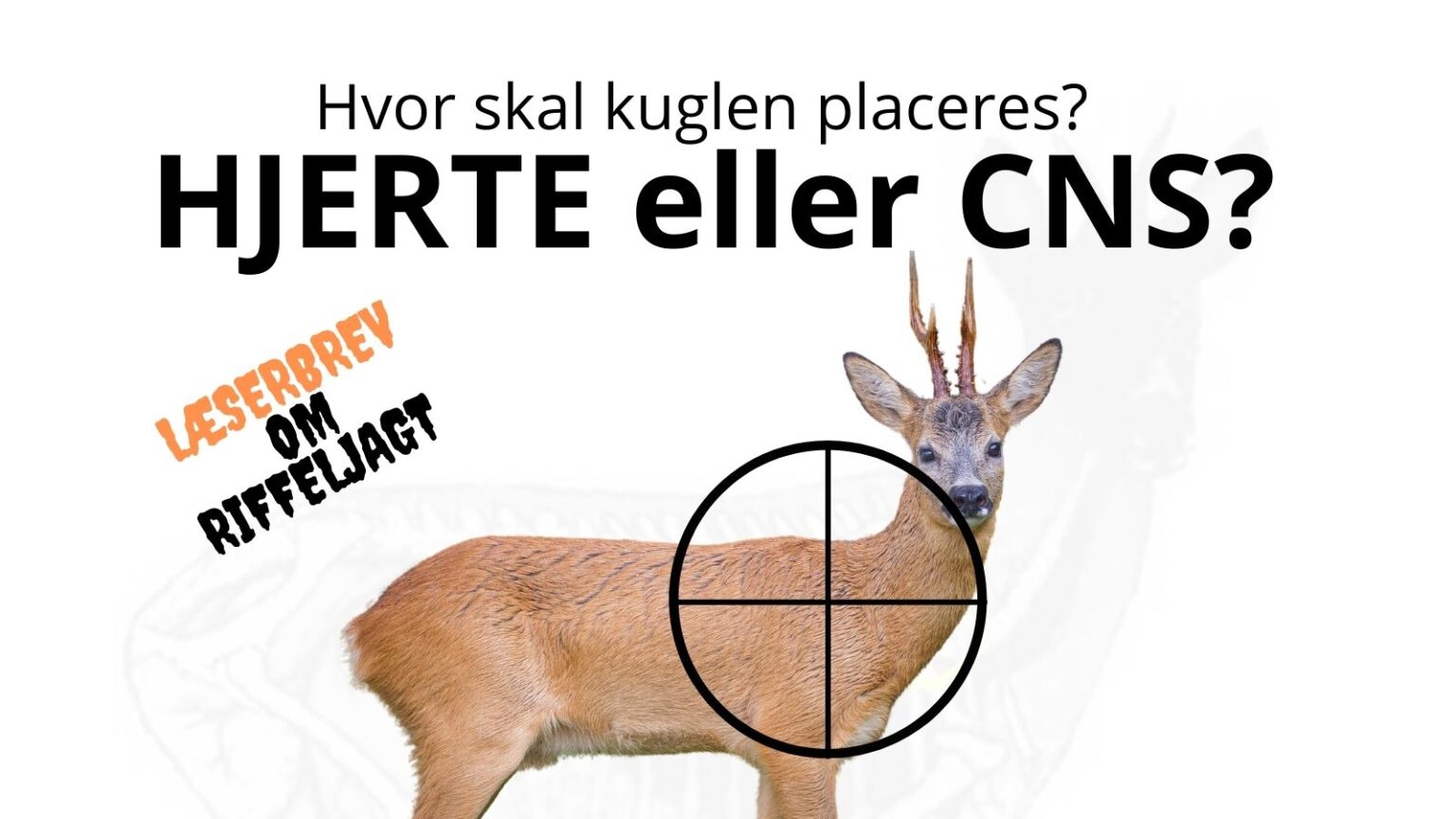 CNS-kuglen