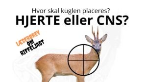 CNS-kuglen