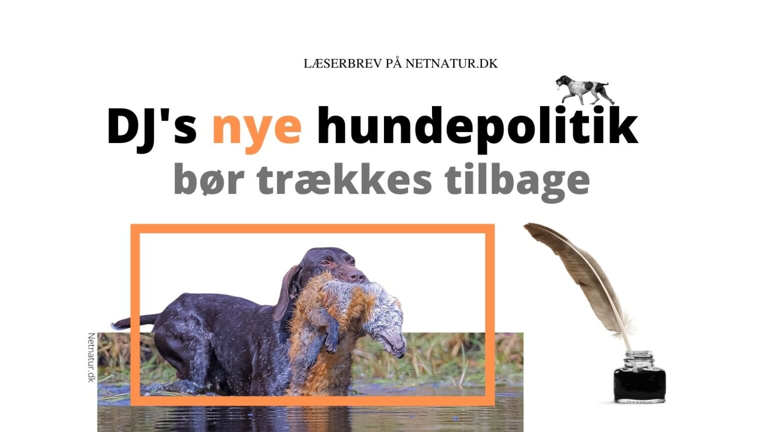 Læserbrev om ny hundepolitik i Danmarks Jægerforbund Søren Stenhøj
