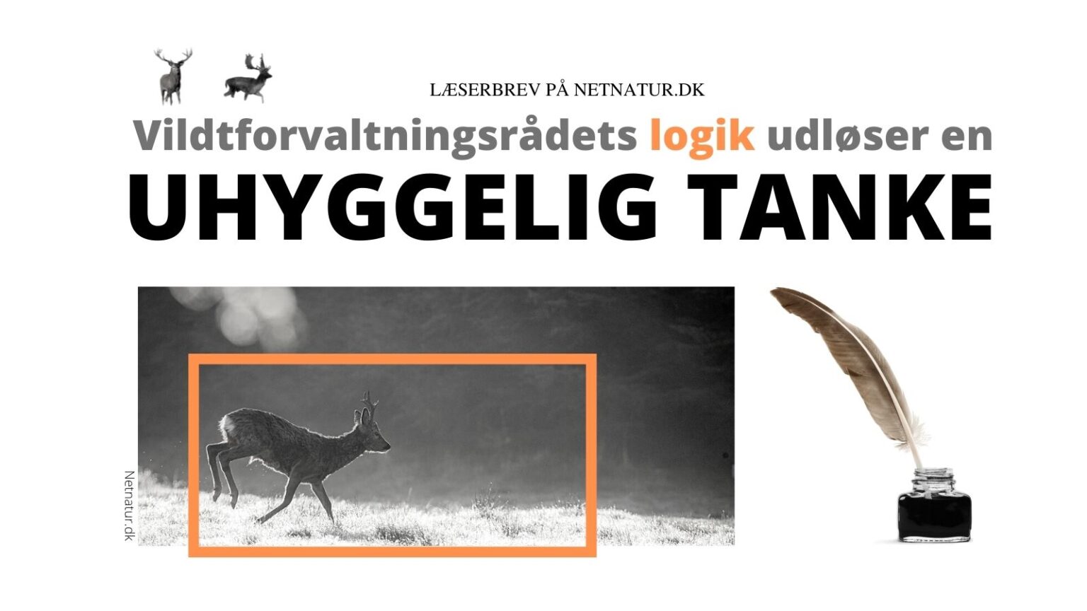 jagt og velfærdsstat