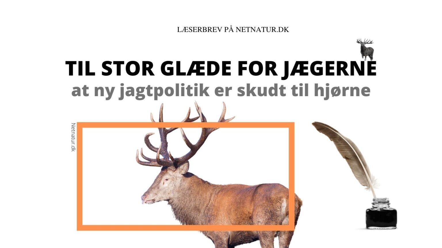 ny hjortepolitik