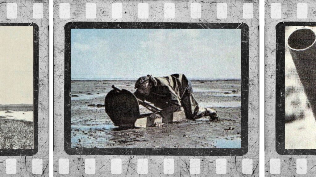 Andejagt med muskedonnere