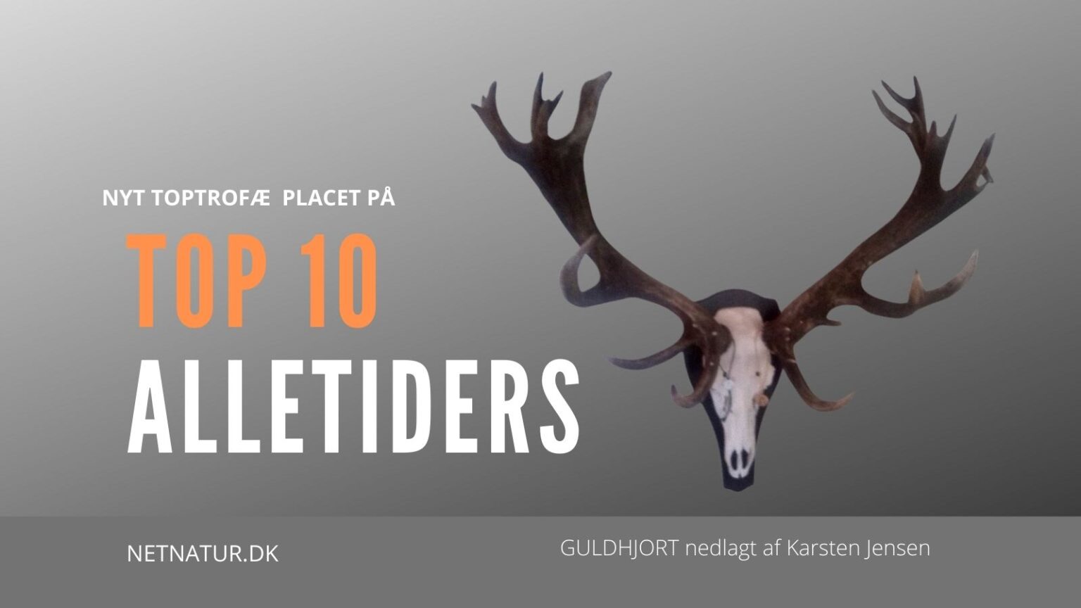 Nyt dansk trofæ på alletiders TOP 10 Top 10 hjort