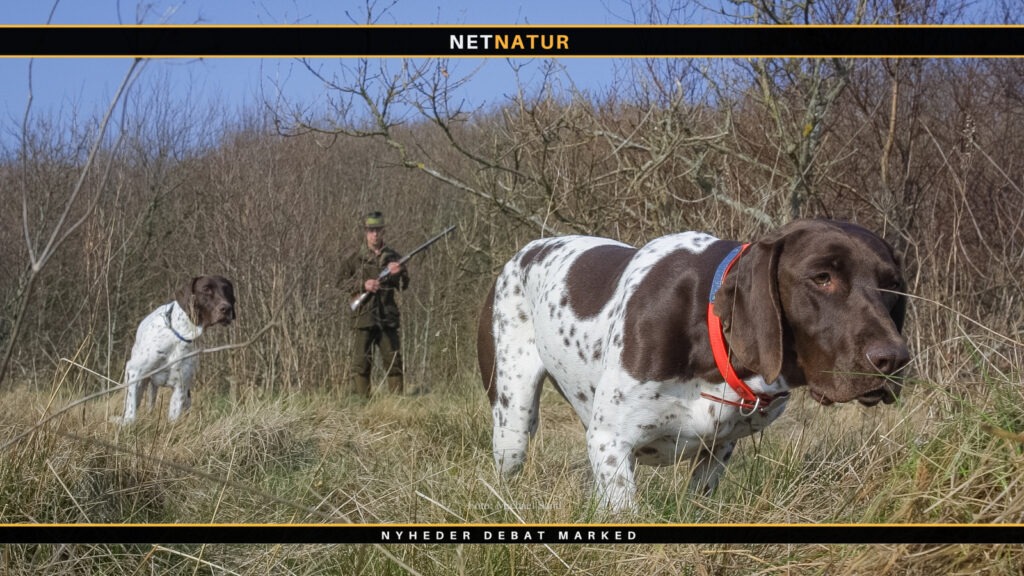 Sekundering sekundering