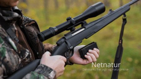 Riffelprøve og kaliber til storvildtjagt: Hvor må de tunge kugler anvendes?