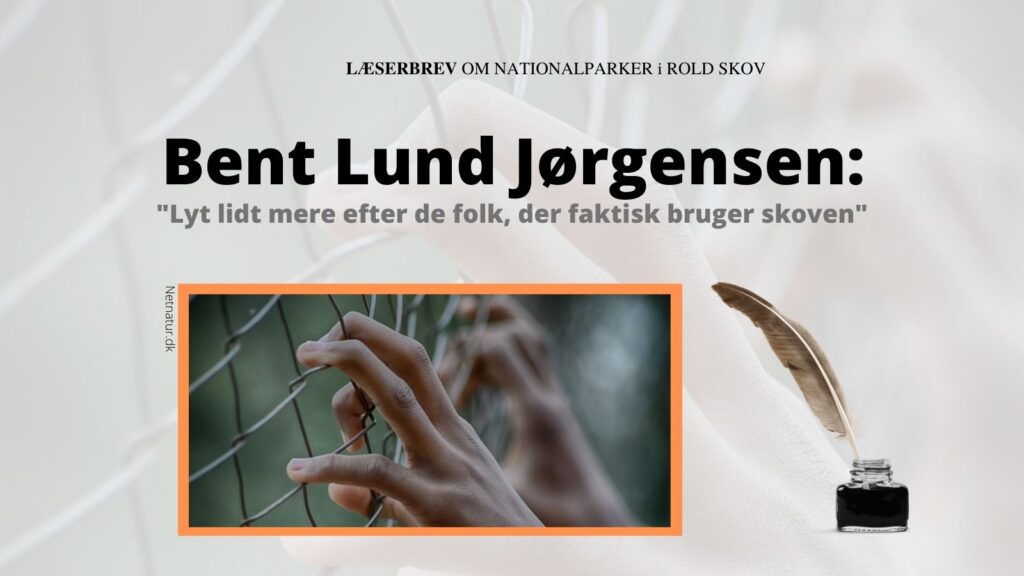 Skal Danmarks måske største skov bag tremmer?