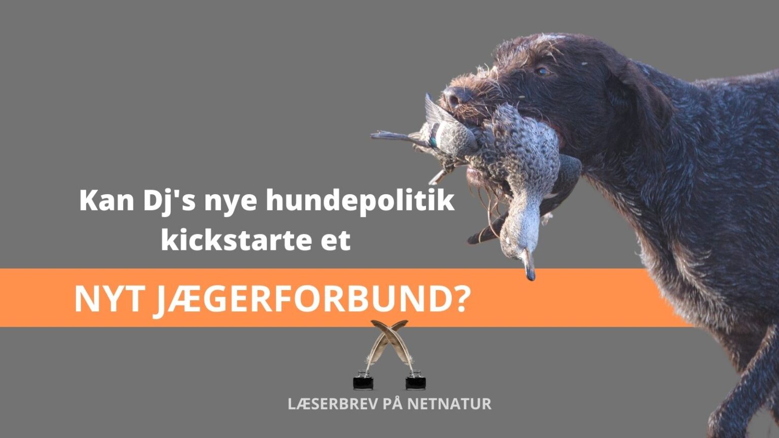 Hvor går den stående jagthund hen?