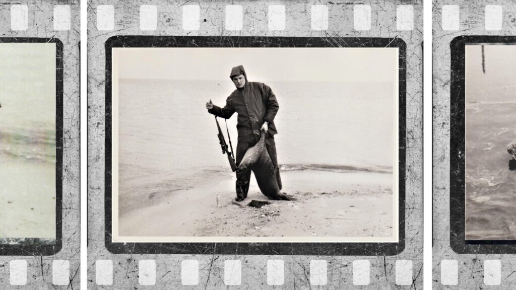 Den sidste sæljæger