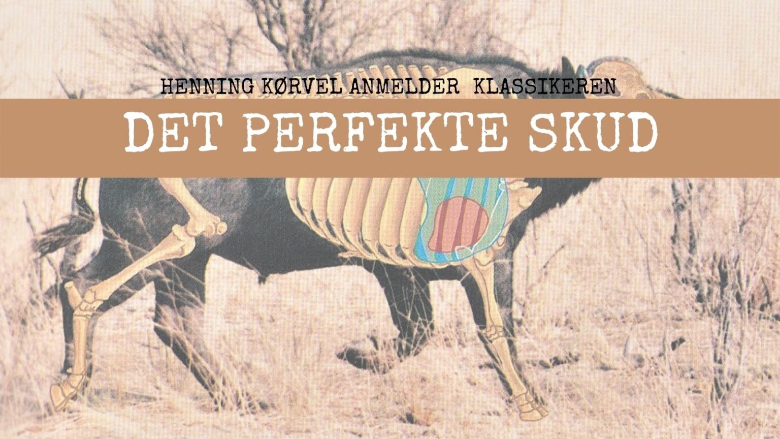 Det perfekte skud