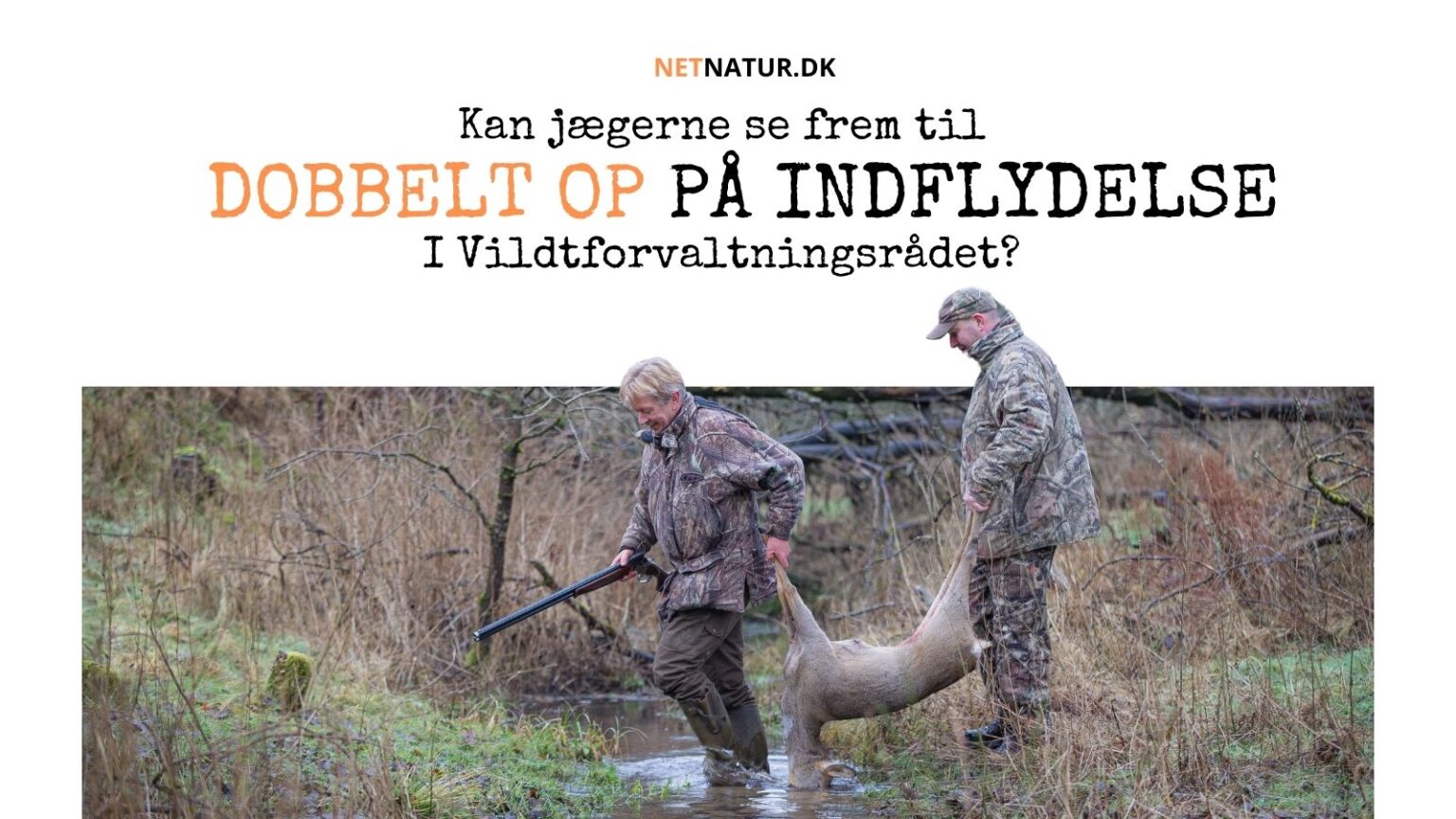 Er der udsigt til dobbelt op på jagtindflydelse?