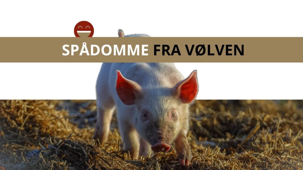 Hvad forudsiger vølven for faunaen i Danmark?