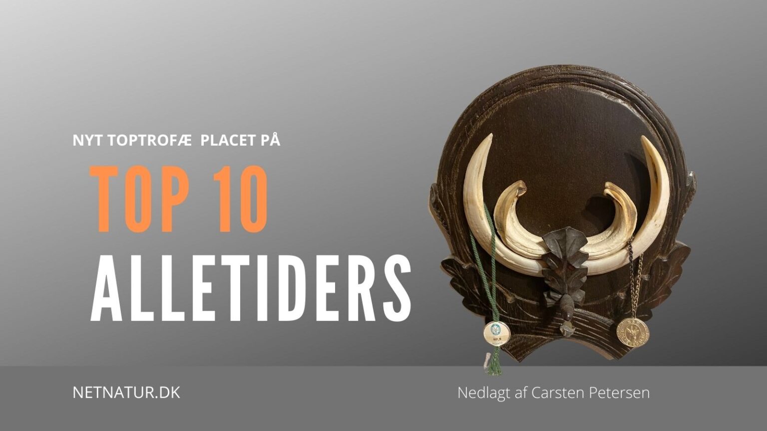 Vildsvin fra Tyskland på Top 10 Alletiders vildsvin tyskland