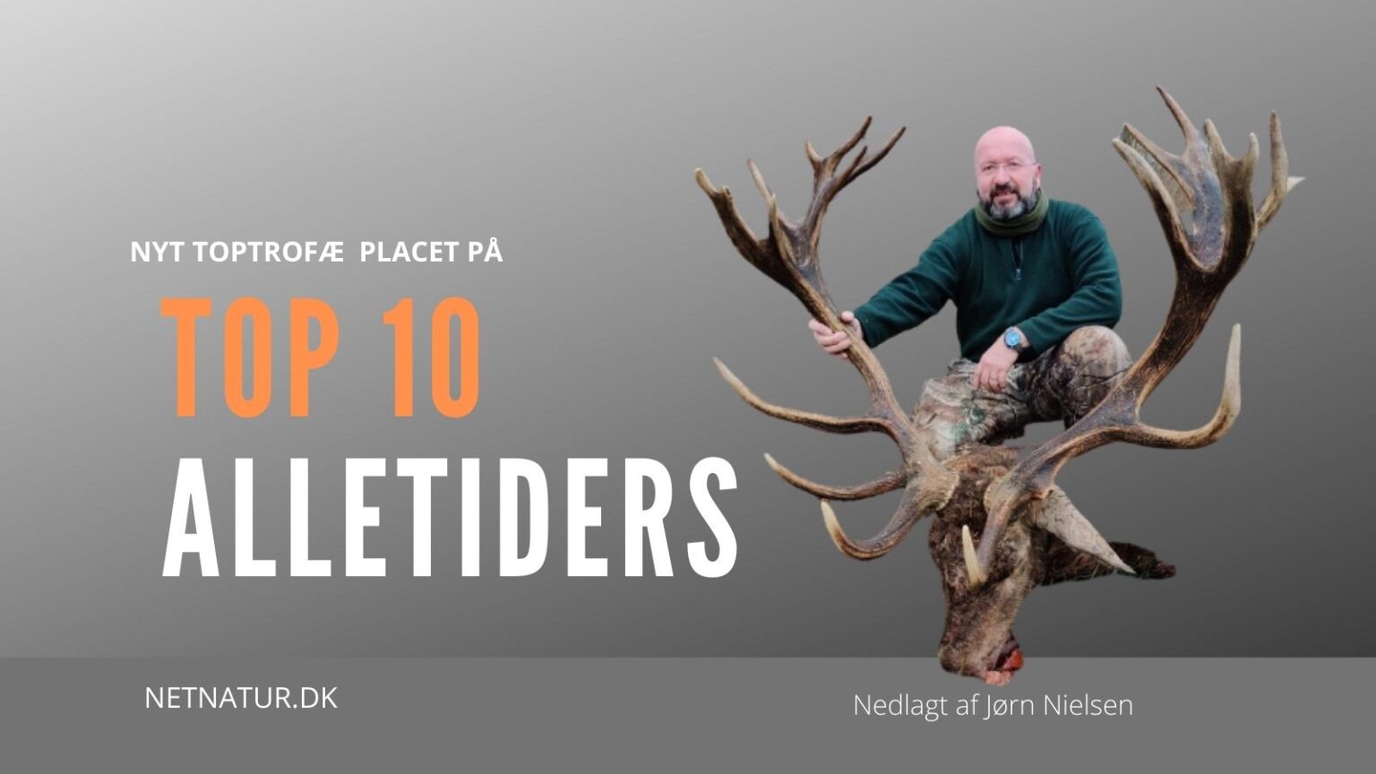 Kæmpehjort fra Jyske Ås på Top 10 kronhjort jyske ås