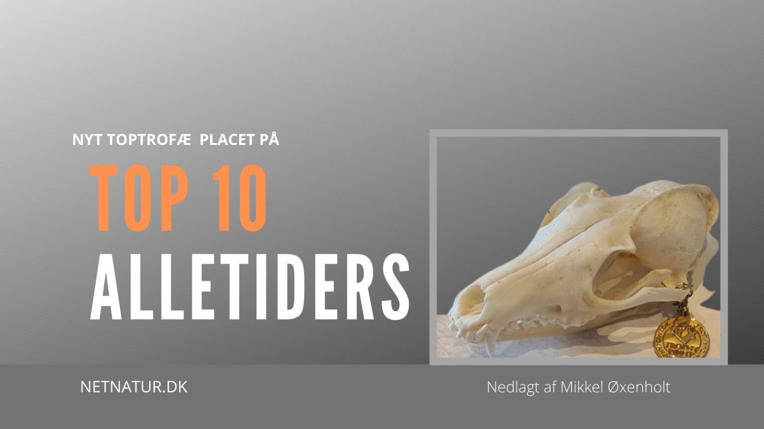 Guldræv på TOP 10 GULDRÆV