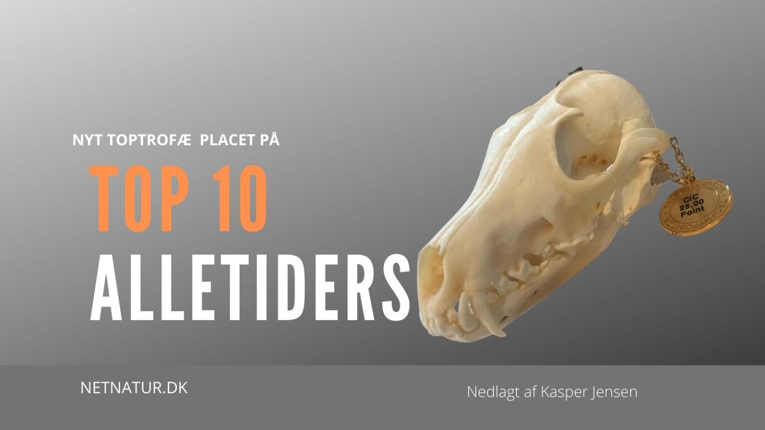 Stor ræv optaget på Top 10 Alletiders